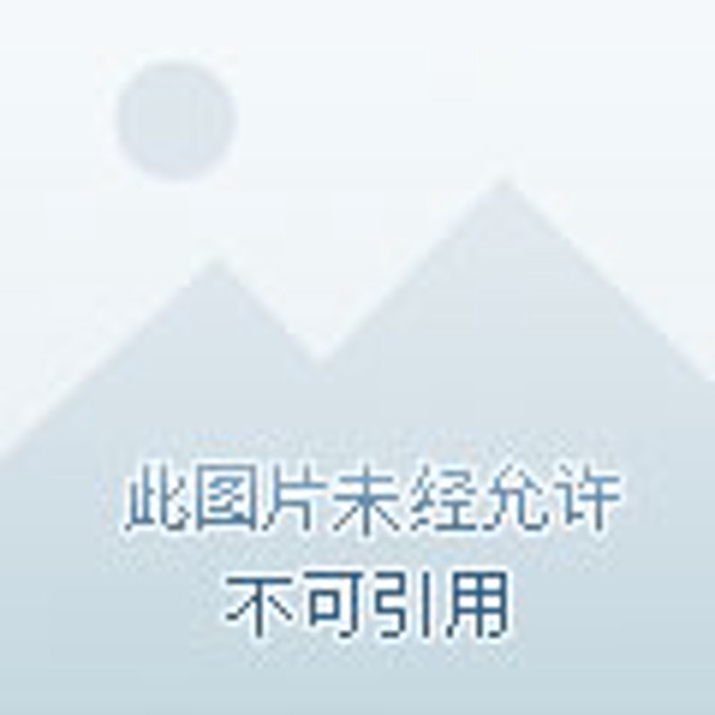 如何高效填报高考志愿？一份指南带你轻松搞定